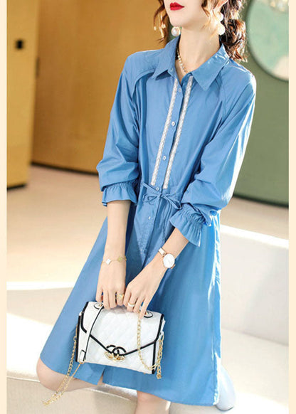 Blue Peterpan Collar Cotton Dress Spring