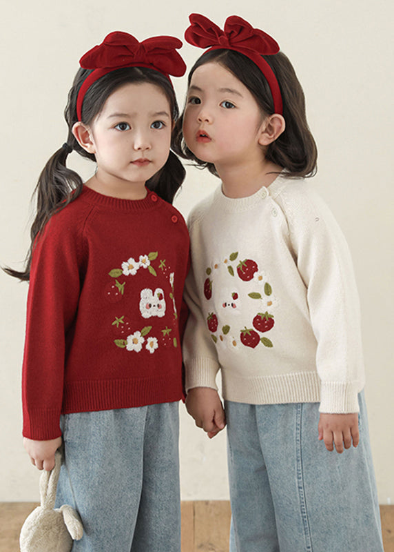 Embroideried Button Thick Cotton Knit Sweater Spring
